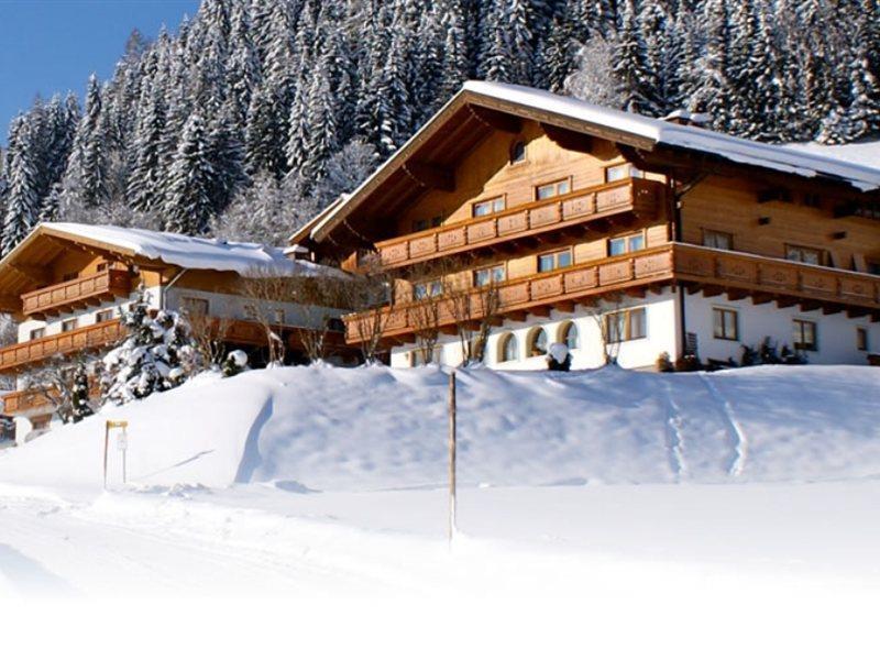 Ferienhaus And Reiterhof Poettler Flachau Exterior photo